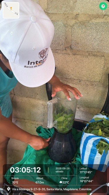 Participante licuando hojas para la elaboración de un biofermento natural