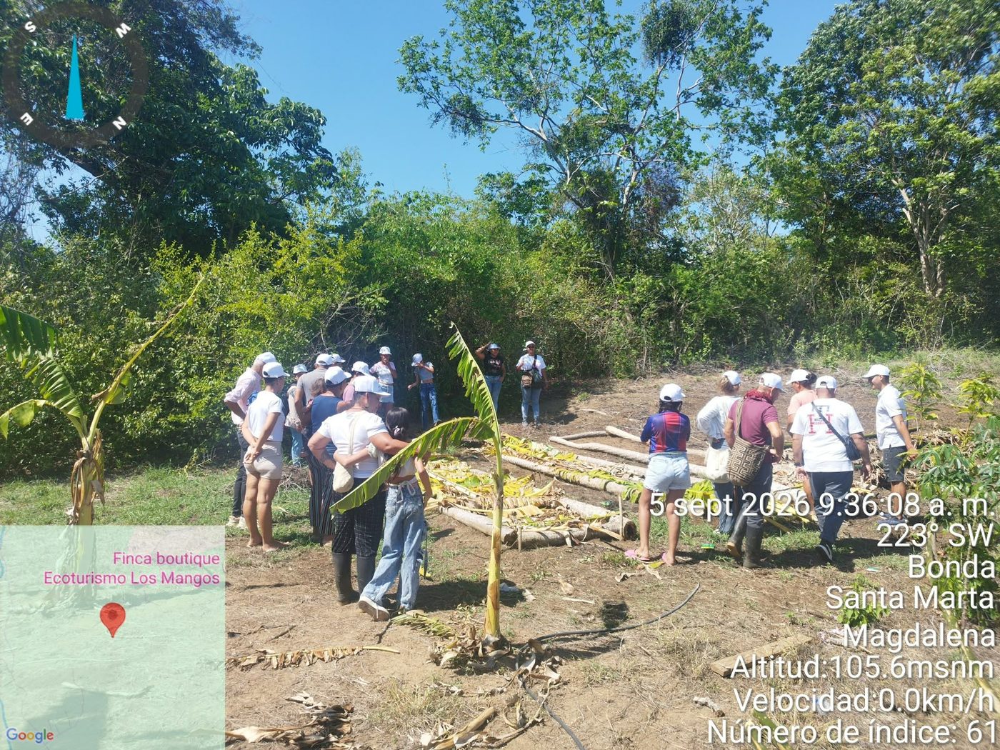Grupo de participantes en un recorrido bajo un cultivo de plátano